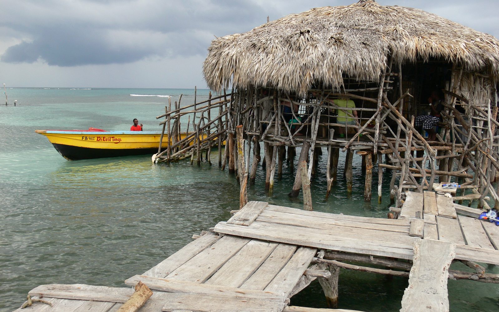 Treasure Beach & South Coast